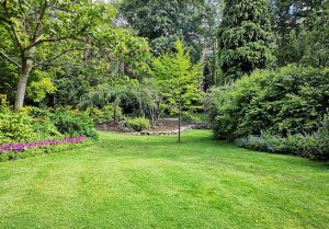 Optimiser l'expérience du jardin à Boult-aux-Bois
